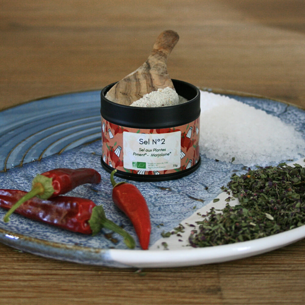 Pot en métal noir du Sel N°2, placé au centre d’une assiette en grès sur une table en bois, avec du gros sel de Camargue, des piments séchés et de la marjolaine sèche à côté.